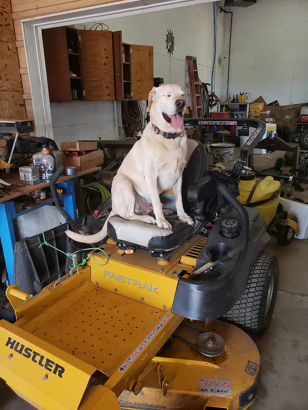Mowing in Norfolk, NE